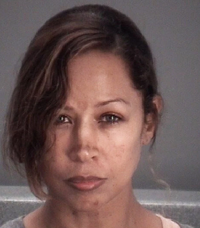 Stacey Dash mugshot from Pasco Sheriff's Office in Florida