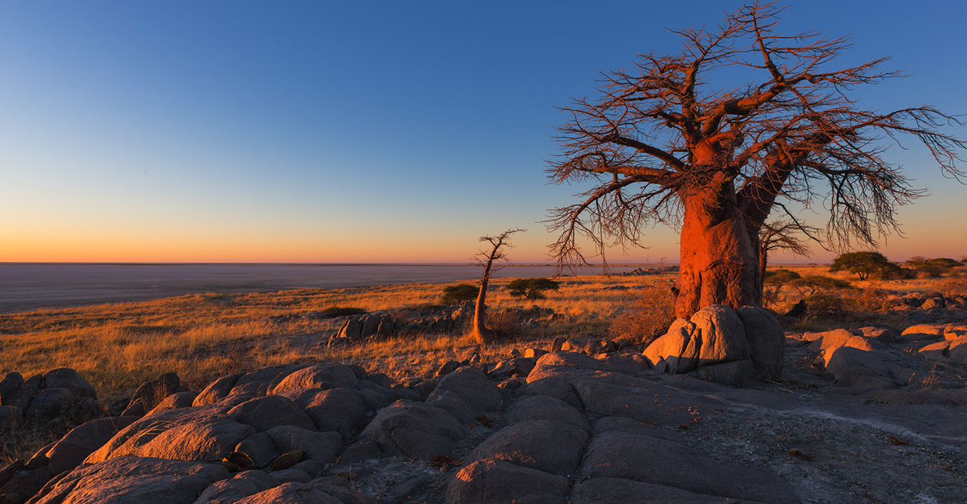 The study found that ancestors of modern humans thrived for about 70,000 years in and around Botswana until climate change forced a migration out of the area. (Photo: iStockphoto / NNPA)