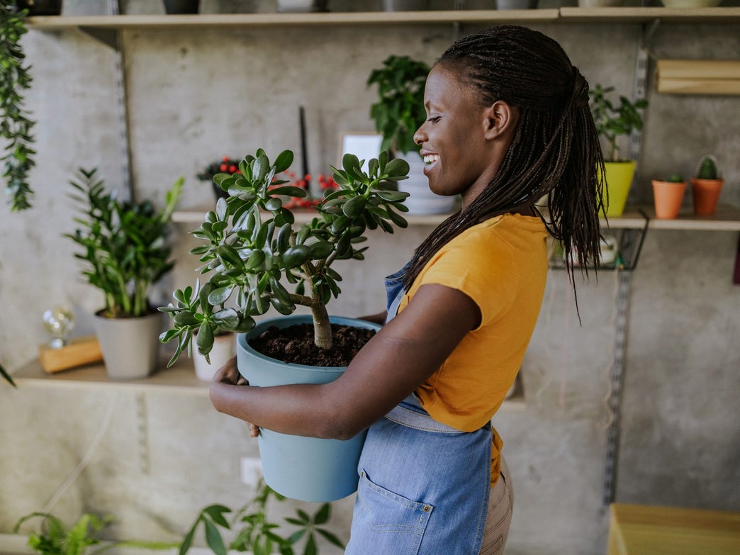 11 Things To Know Before Buying Your First Houseplant Baby