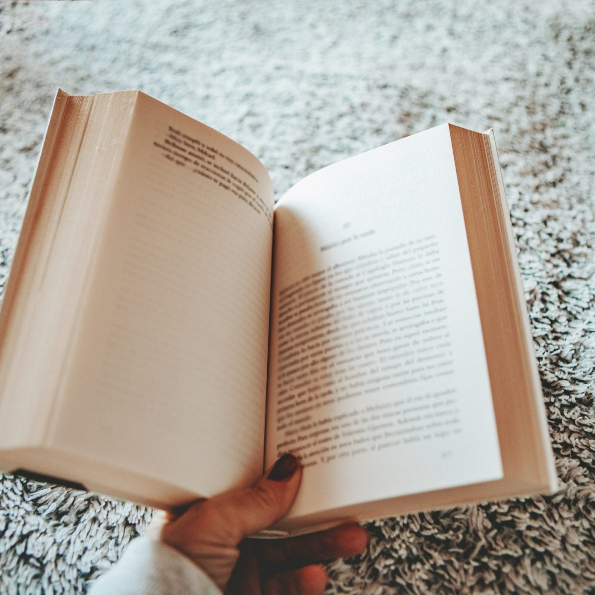 POV female hand holding book