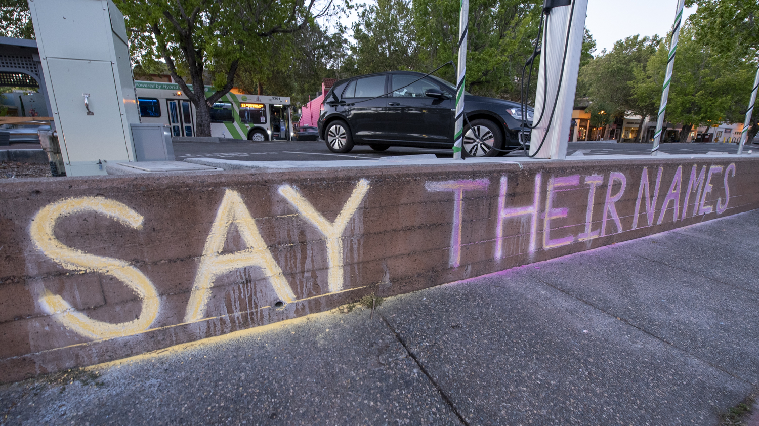 Black Lives Matter street signs in Faixfax, California — “Say Their Names”: Aaron Ballard Aiyanna Stanley Alan Blueford Alfred Olango Alfred Toe Alonzo Smith Alton Sterling Alvin Haynes Amadou Diallo Andew Mike Andrew Depiza Angel Ramos Anthony Ashford Anthony Eddinton Antwun Shumpert Arthur Williams Jr Ashford Dominic Ashtian Barnes Austin Howard Bernard Moore Bettie Jones Brandon Coles Breonna Taylor Brian Pickett Burt Johnson Calvin Reid Cameron Glover Carnell Snell Jr Christoher Shakleford Christopher Kimble Christopher Nelms Colby Friday Cornelius Brown Dahir Adan Darius Wimberly Darrell Gatewood Dayten Harper Deborah Danner Delrawn Small Demarius Moore Demarius Semer Demetrius Dorsey Demouriah Hogg Deontre Dorsey Deravis Rogers Deriante Miller Deric Brown Devon Martes Devonte Gates Donte Jones Dontrell Carter Douglas Rainey Dujuan Armstrong Earl Eubanks Edson Thevenin Eric Garner Ernest Fell Ernesto Duenez Felix Kumi Junior Ferguson Laurent Frank Clark Frank Smart Freddie Blue Gary King Gaving Long George Floyd Gerald Hall Gregario Mack Gregory Frazier Guadalupe Ochoa Hutchinson India Kager Jacai Colson Jamar Clark Jamarion Robinson James Carney III James Rich Jr James Rivera Jr Jaqwan Terry Jason Stringer Jawari Porter Jeffrey Tyson Jeremy Lett Jerome Damon Jerome Harmon Jessica Williams John Williams Jonathan Sanders Jones Elanor Bumpers Jorevis Scruggs Joseph Mann Joshua Beal Joshua Brooks Kathryn Johnson Kayla Moore Keith Childress Keith McLeud Keith Scott Kendra James Kenneth Chamberlain Sr Kenney Watkins Kevin Garrett Kevin Hicks Kevin Matthews Kimani Johnson Korryn Gaines Kris Jackson Lamar Harris Lavante Biggs Lavar Douglas Layfette Evans Leroy Browning Leslie Sapp Loreal Tsinge Luis Gongora Marcellus Toney Mario Romero Mario Woods Markell BIvens Marshall Anthony Matthew Wood Jr Michael Brown Michael Johnson Michael Lee Michael Noel Michael Wilson Michelle Shirley Miles Daivs Miriam Carey Najier Salaam Natasha McKenna Nate Greer Nathaniel Pickett Nicholas Glen Norman Gary Ollie Brooks Orville Edwards Oscar Grant Osee Calix Pamela Turner Pat Laronda Paterson Brown Paul O'Neal Pedie Perez Philando Castille Pierre Jhoury Prosper Wayne Wheeler Raheem Singletary Rekia Boyd Renee Davis Richard Perkins Richard Risher Jr Rodney Smith Rodney Watts Ronnell Foster Sadiq Idris Sahleem Tindle Sandra Bland Sharesse Francis Spencer McCain Stephon Clark Sweatt Sylville Smith Syville Smith Talif Scudder Tamir Rice Terance Crutcher Terrance Moxley Terrance Thomas Jr Terrell Walker Terry Frost Terry Price Thomas Allen Jr Thurmond Reynolds Tiano Meton Tiara Thomas Tony Robinson Torrey Robinson Tyler Gebhard Tyre King Tyree Crawford Victo Larosa Willie McCoy Willie Tillman Yuvette Henderson Zamiel Crawford .... and many more.