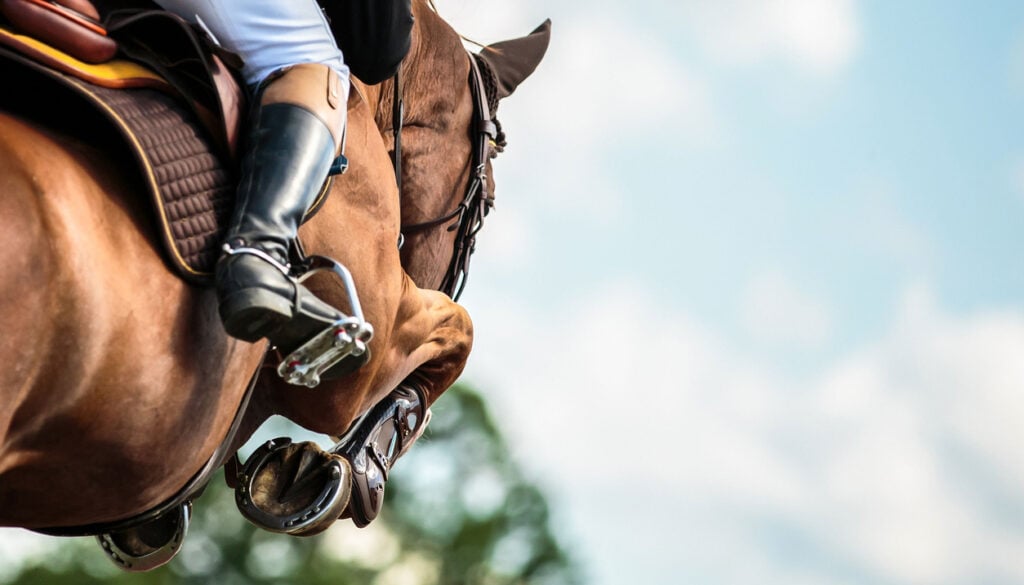 Black Michigan Woman Named Top Rodeo Competitor