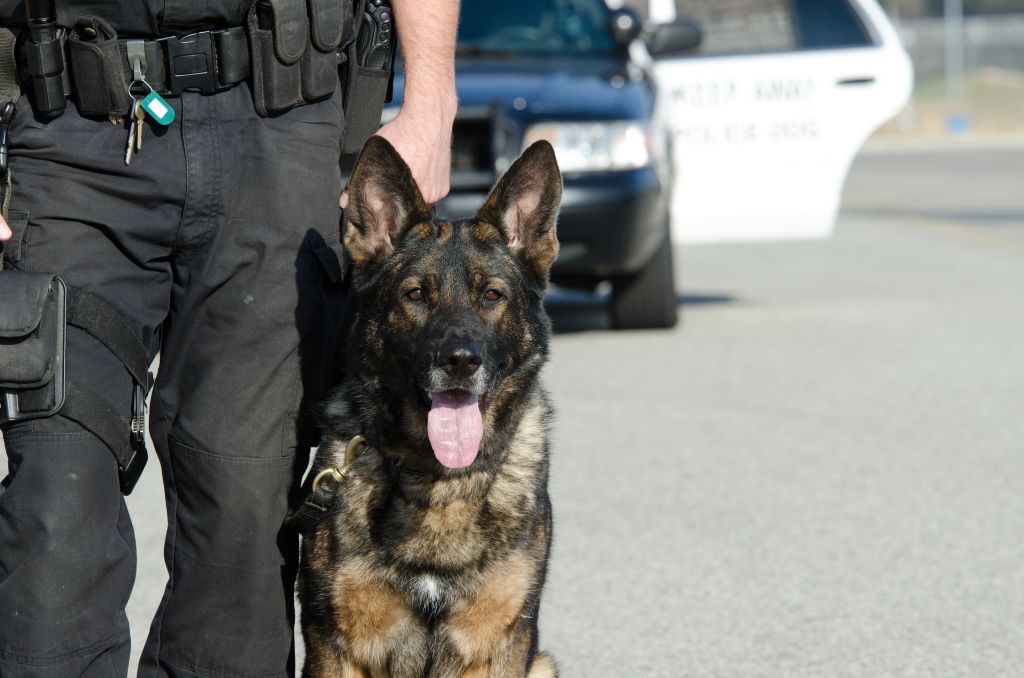 A K9 police officer with his dog.