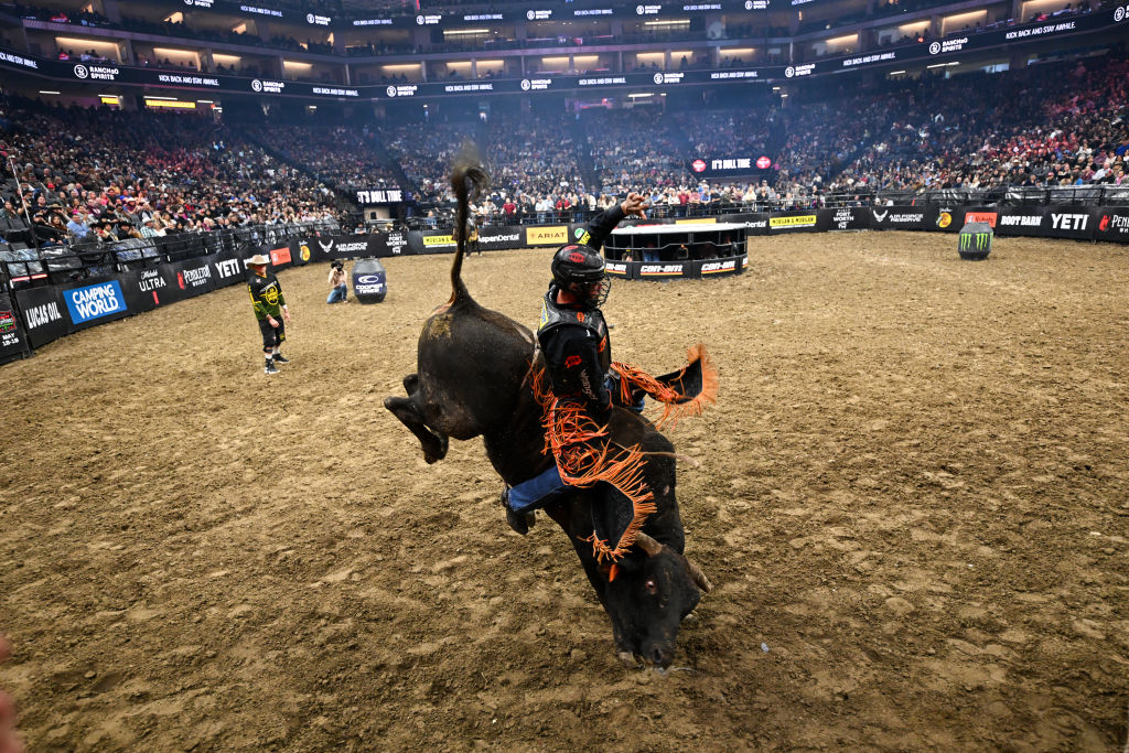 leavy, black, Laithan Dickerson, bull riding, history, sport, 