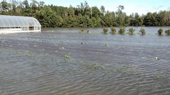 The Conetoe Family Life Center on Sept. 28 after Hurricane Helene - via Act of Man Coalition